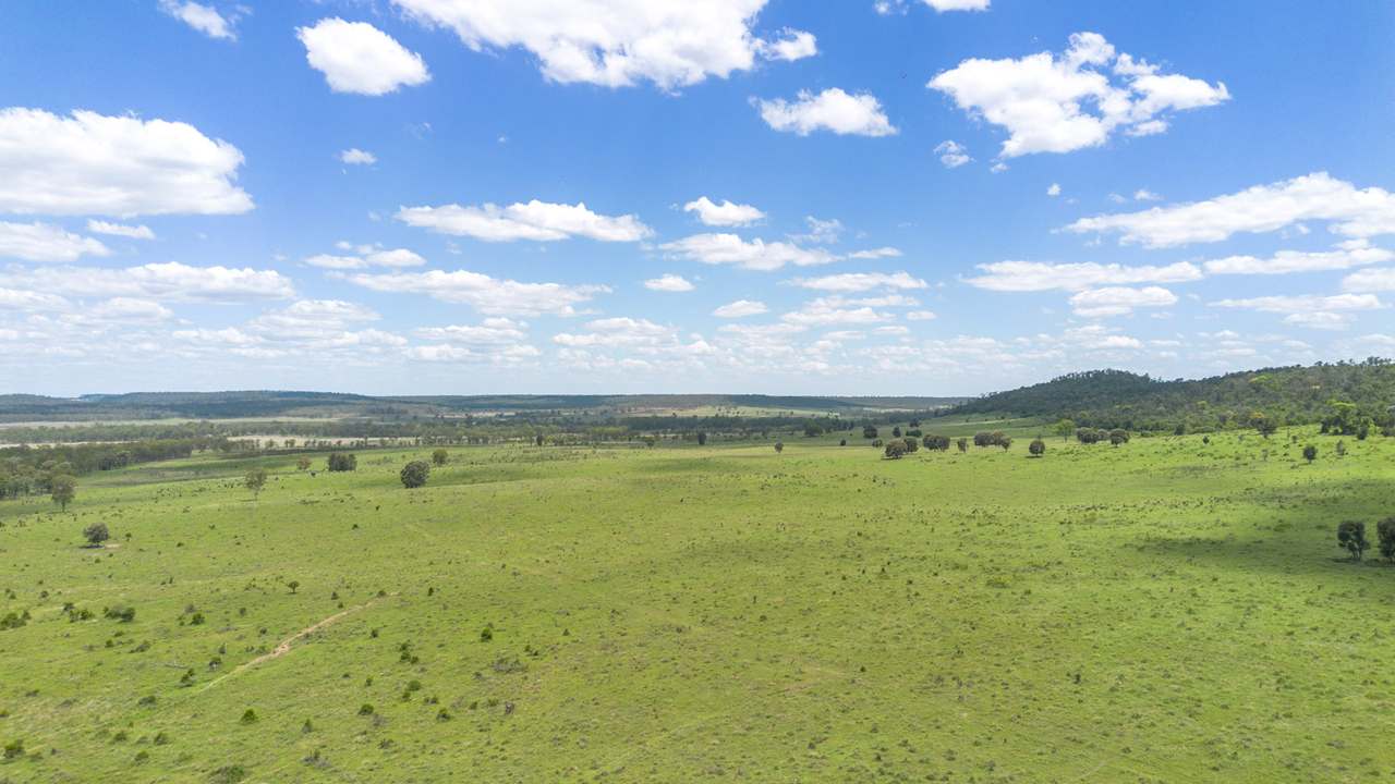 'Blady Grass', Taroom Auction by Farmbuy.com - image 63