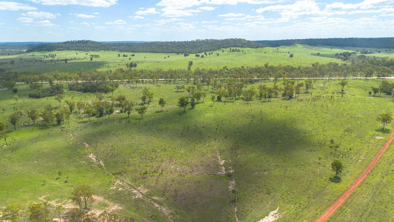 'Blady Grass', Taroom Auction by Farmbuy.com - image 37