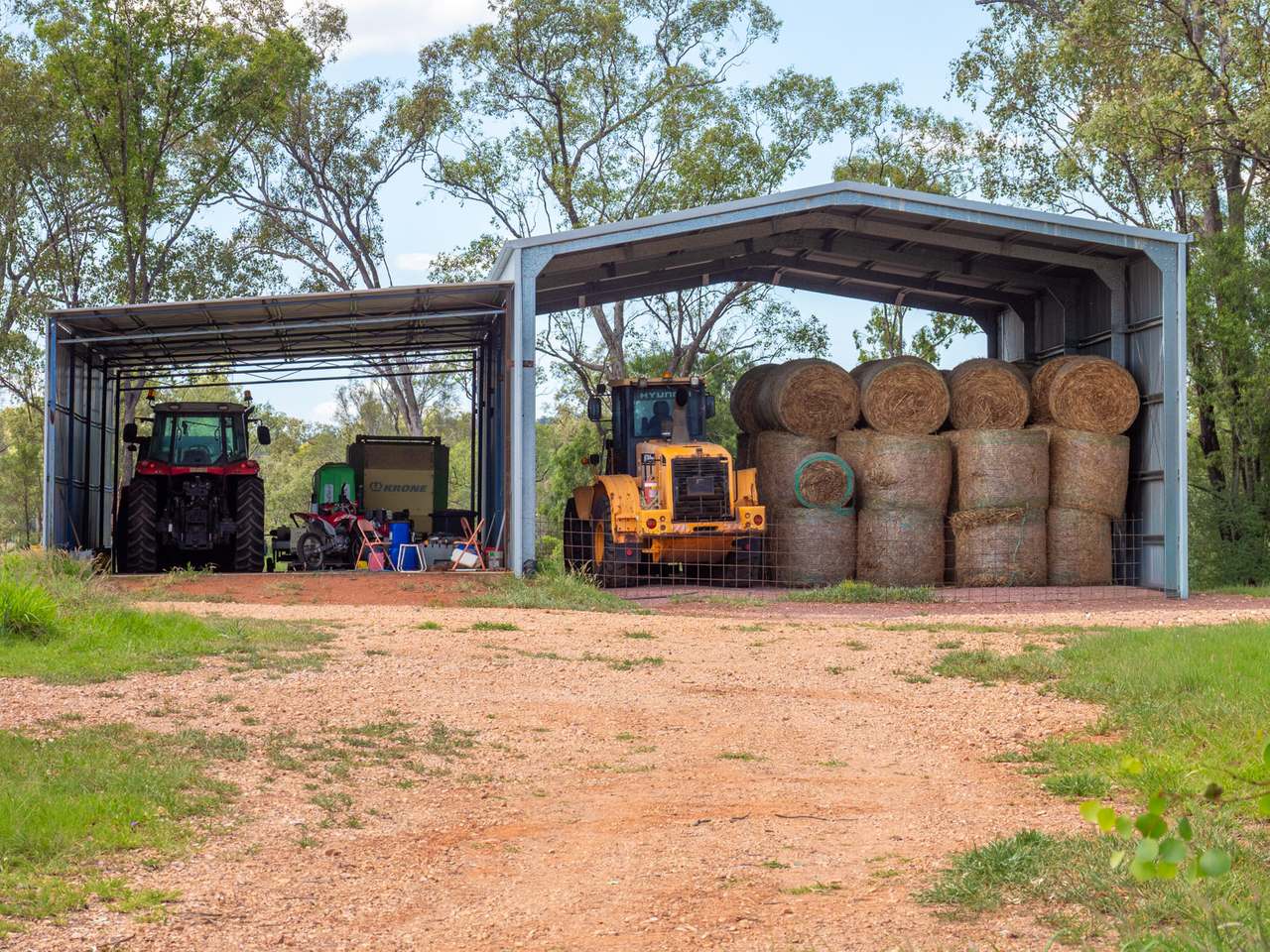 'Blady Grass', Taroom Auction by Farmbuy.com - image 50