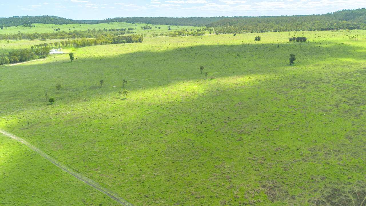 'Blady Grass', Taroom Auction by Farmbuy.com - image 27