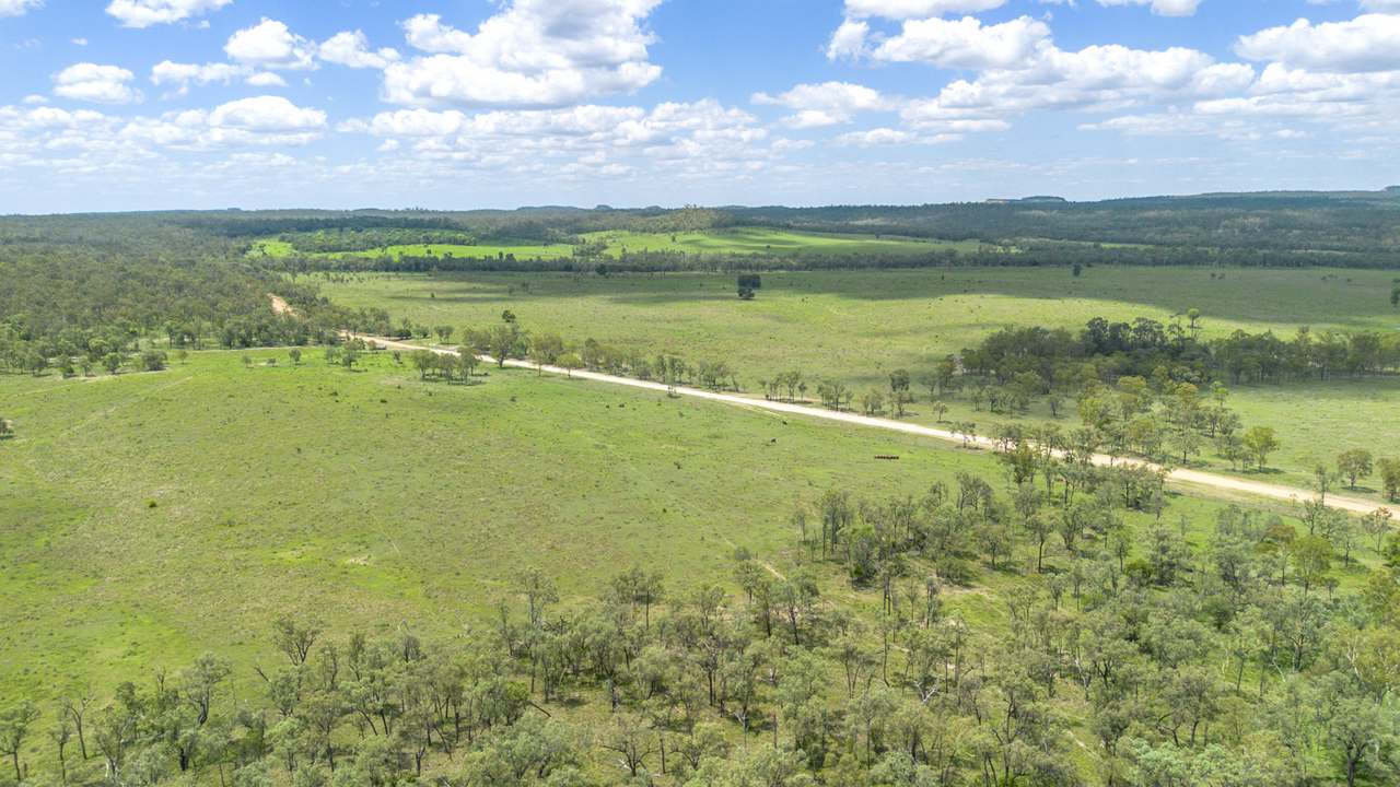 'Blady Grass', Taroom Auction by Farmbuy.com - image 62