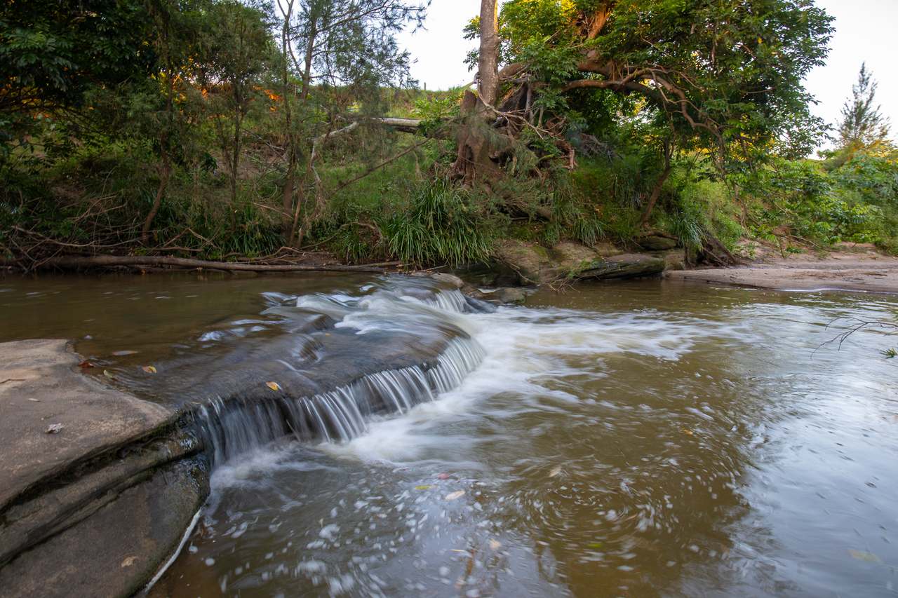 Casino Auction by Farmbuy.com - image 17