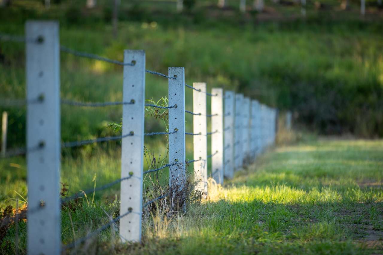 Casino Auction by Farmbuy.com - image 10