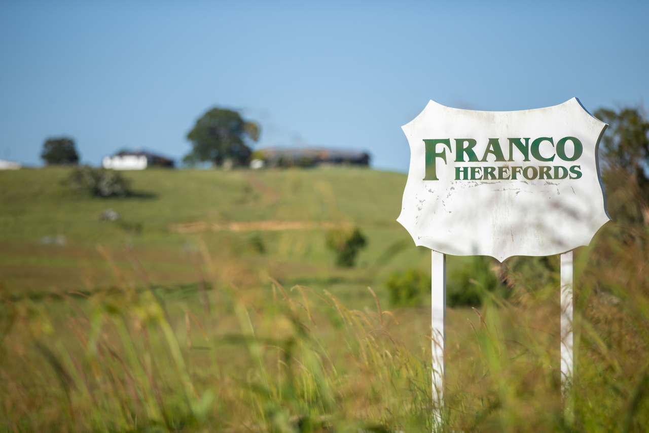 Casino Auction by Farmbuy.com - image 18