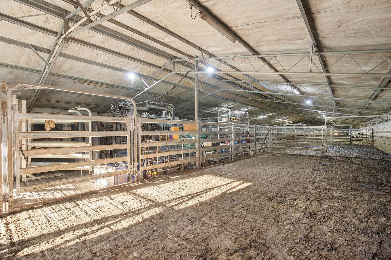 4145 Bruxner Highway, Casino Auction by Farmbuy.com - image 10