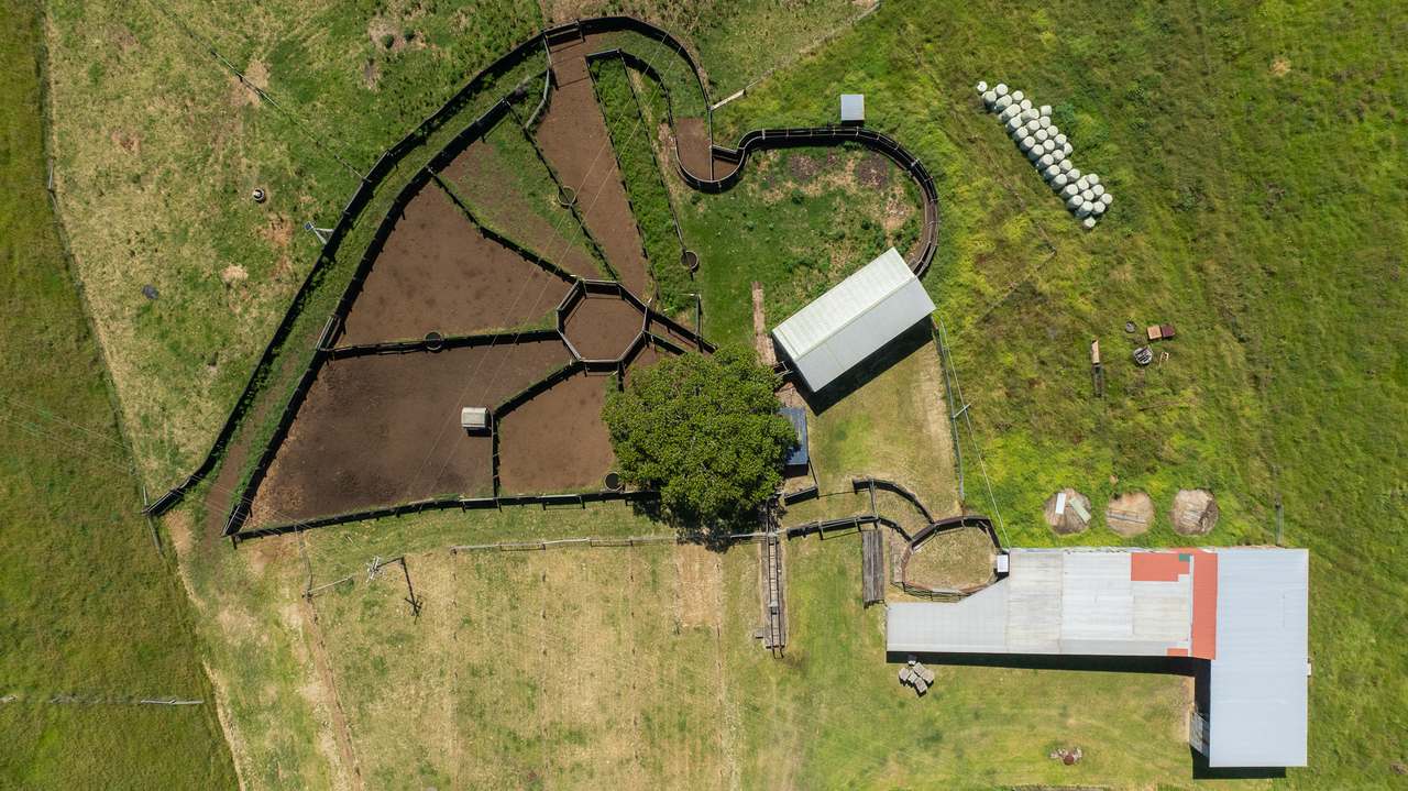 Casino Auction by Farmbuy.com - image 8