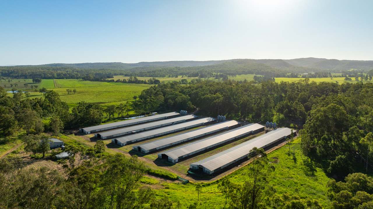 Casino Auction by Farmbuy.com - image 9