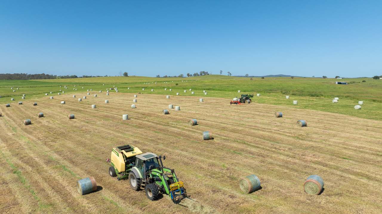 Casino Auction by Farmbuy.com - image 12