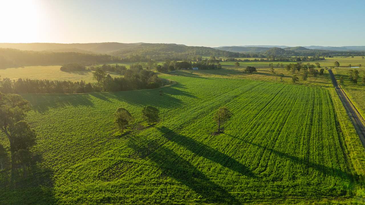 Casino Auction by Farmbuy.com - image 7