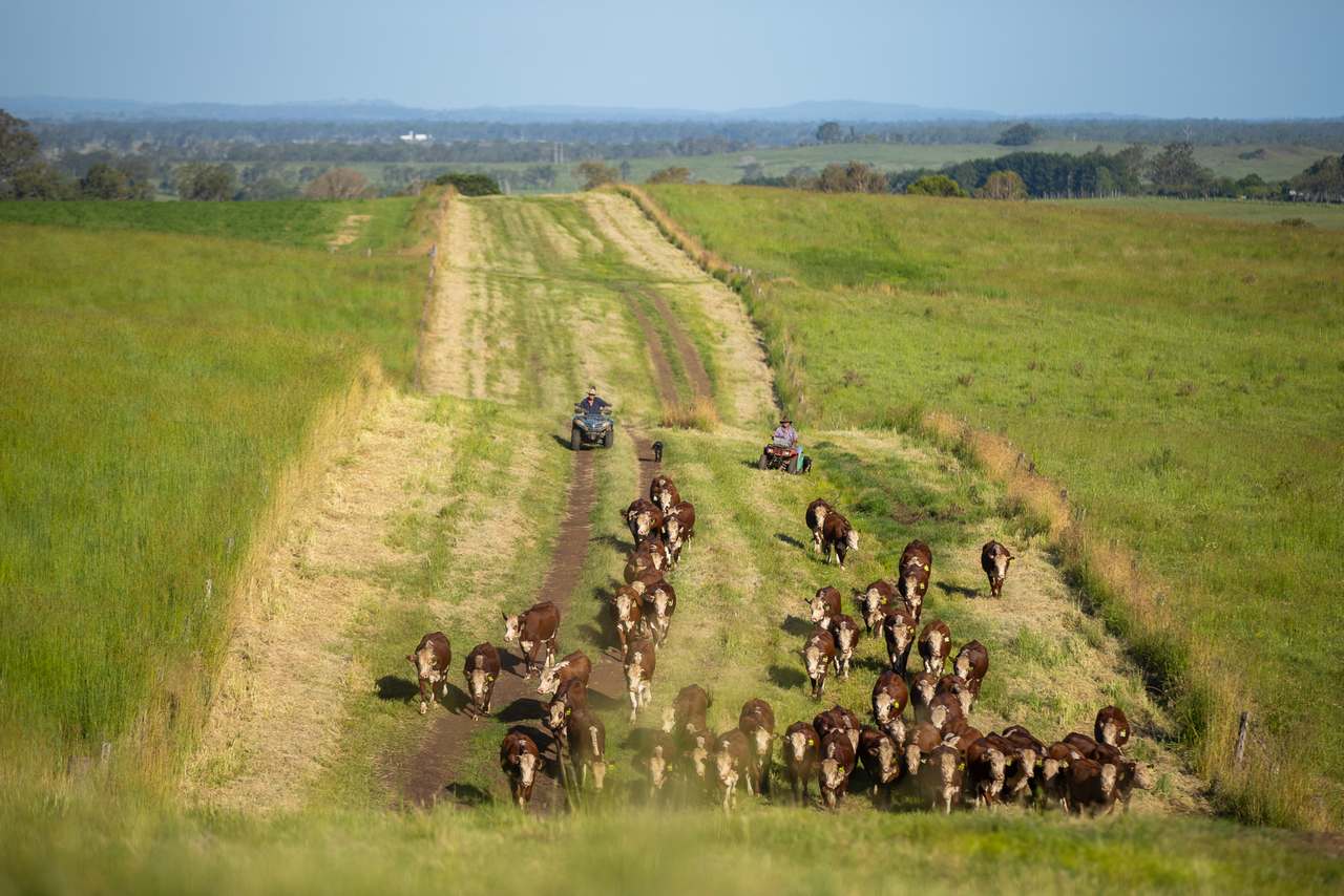 Casino Auction by Farmbuy.com - image 5