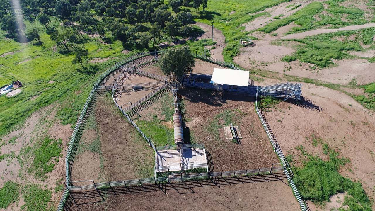 Blackwater Rolleston Road, Blackwater Auction by Farmbuy.com - image 26