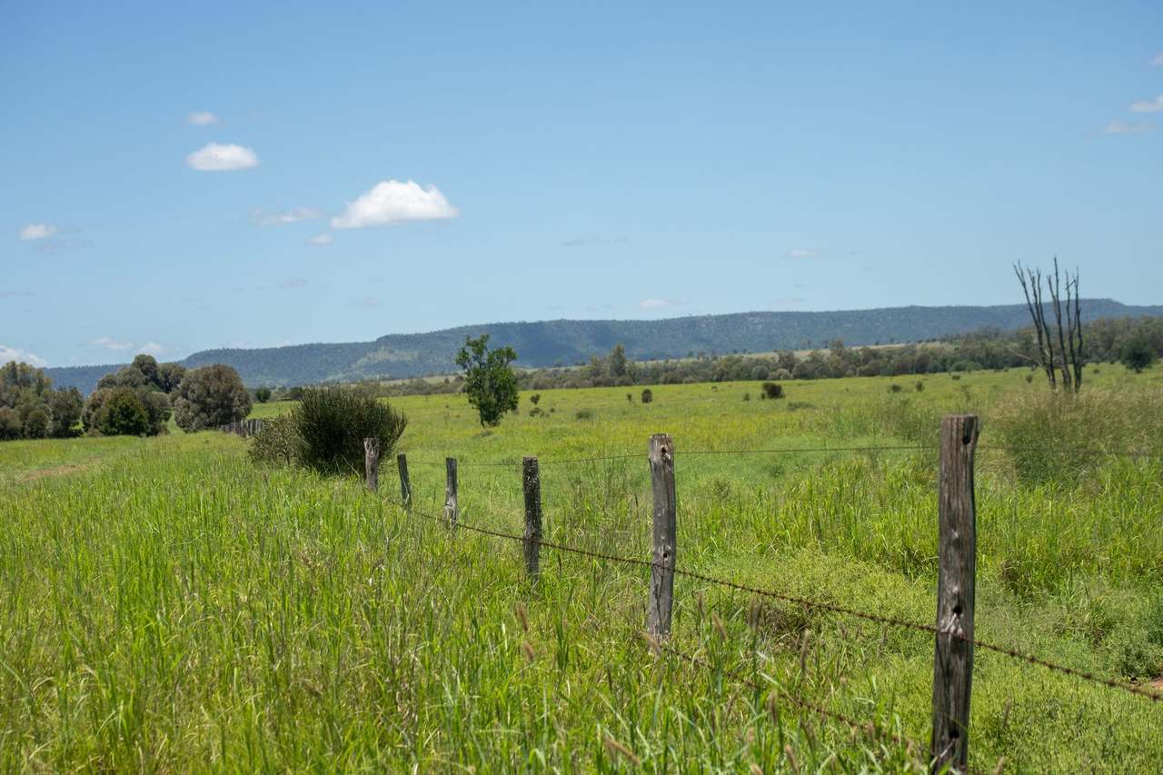 Blackwater Rolleston Road, Blackwater Auction by Farmbuy.com - image 11