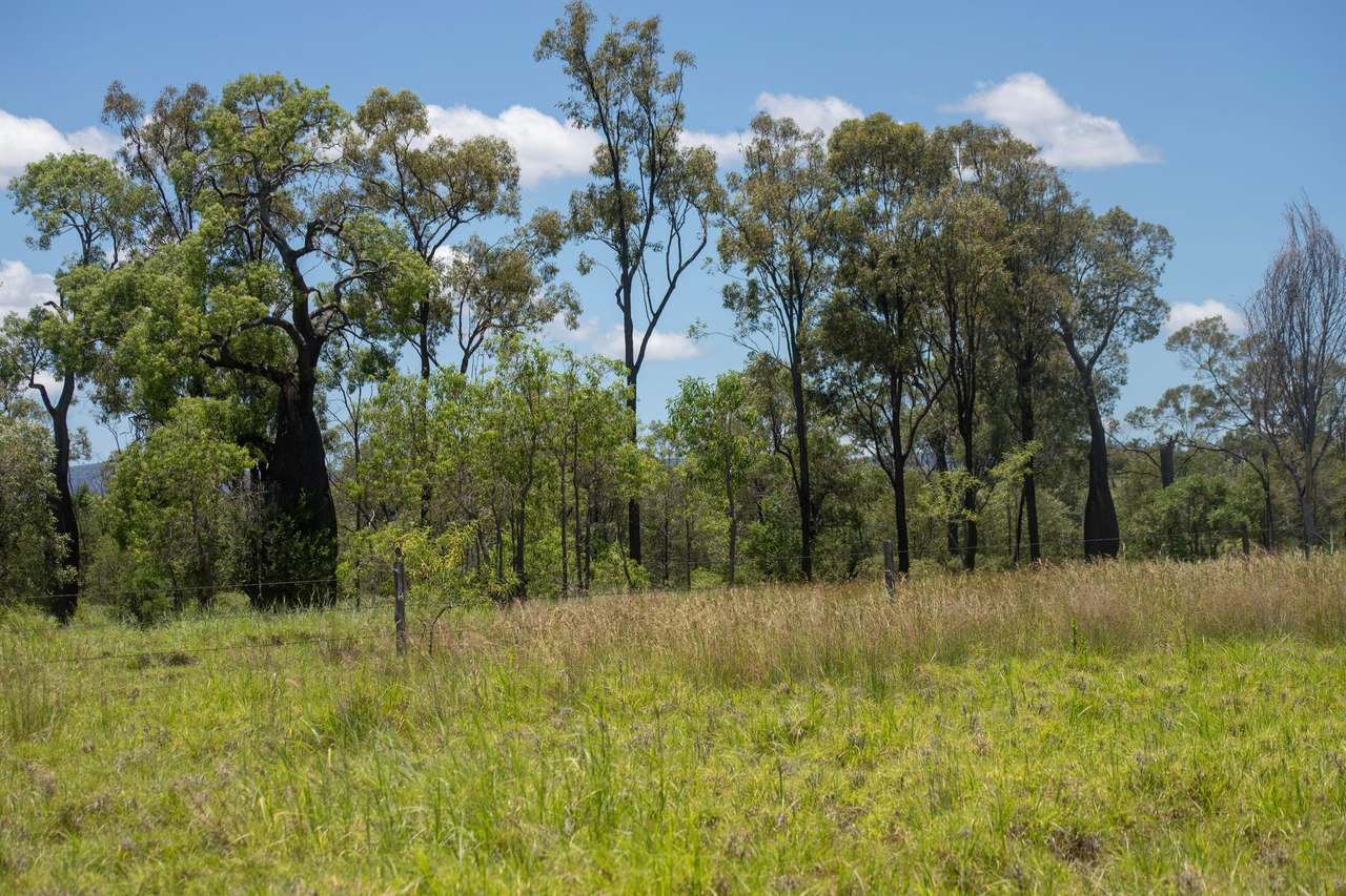 Blackwater Rolleston Road, Blackwater Auction by Farmbuy.com - image 16