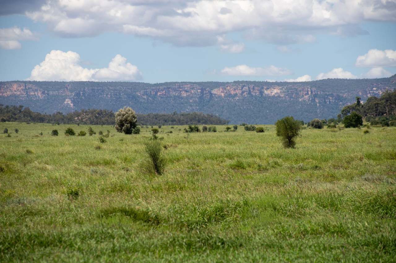 Blackwater Rolleston Road, Blackwater Auction by Farmbuy.com - image 1