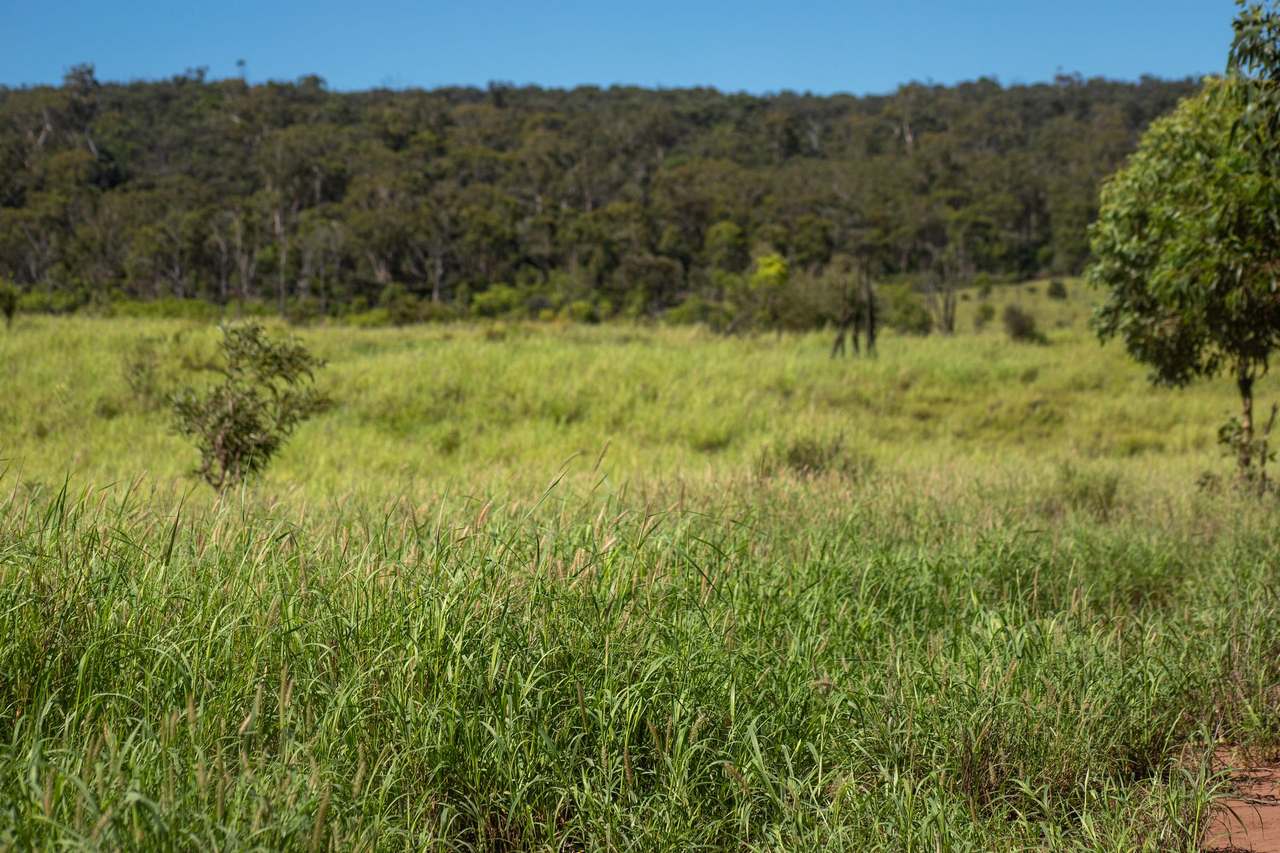 Blackwater Rolleston Road, Blackwater Auction by Farmbuy.com - image 14