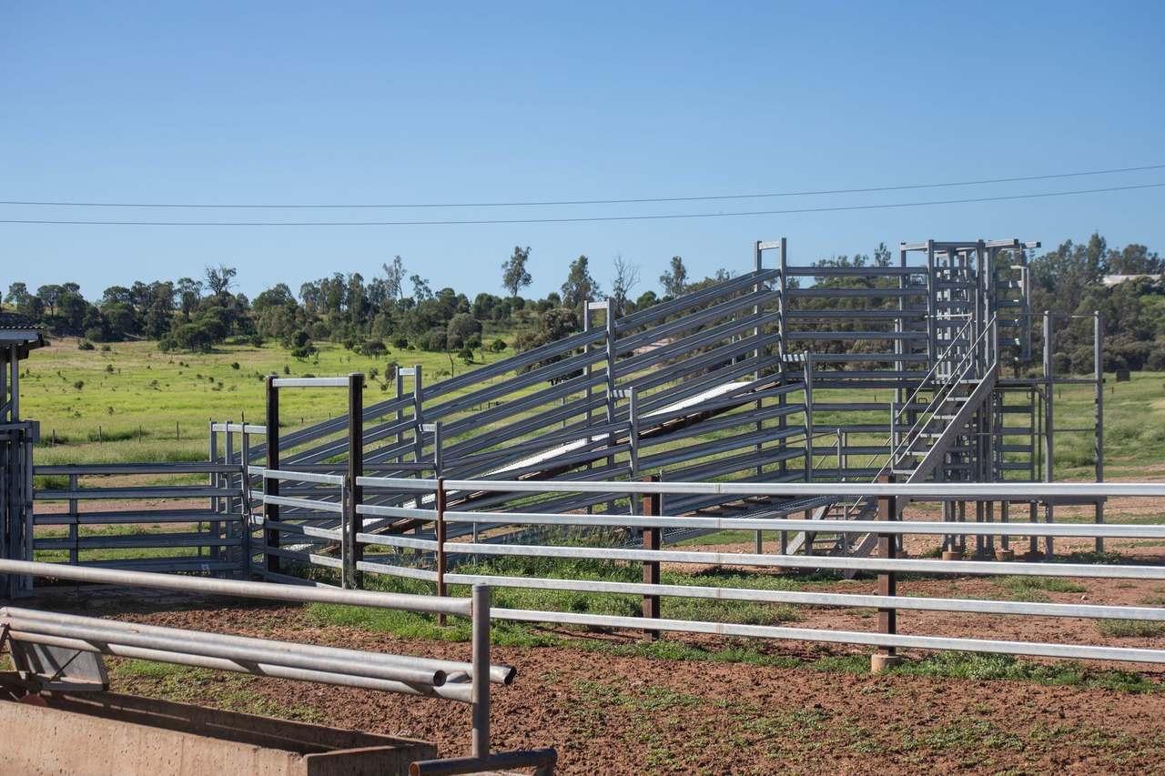 Blackwater Rolleston Road, Blackwater Auction by Farmbuy.com - image 23