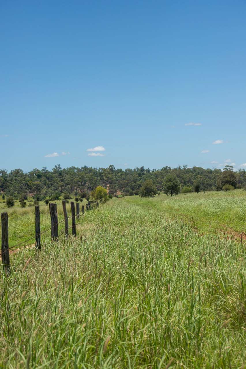 Blackwater Rolleston Road, Blackwater Auction by Farmbuy.com - image 12