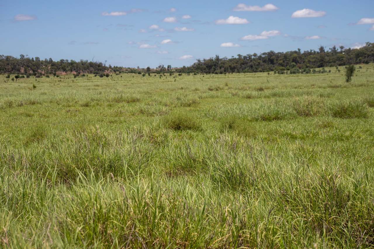 Blackwater Rolleston Road, Blackwater Auction by Farmbuy.com - image 9