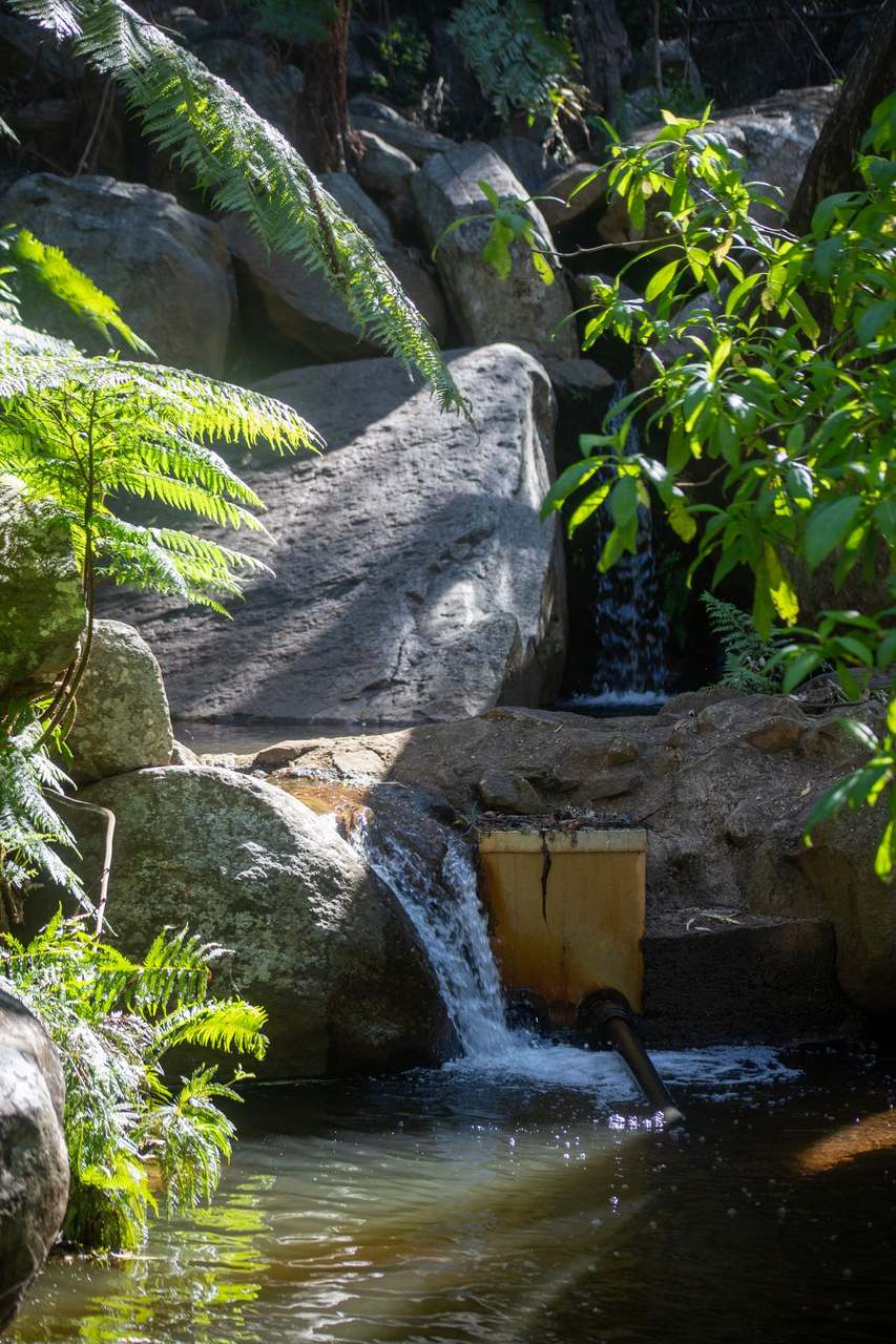 Blackwater Rolleston Road, Blackwater Auction by Farmbuy.com - image 3