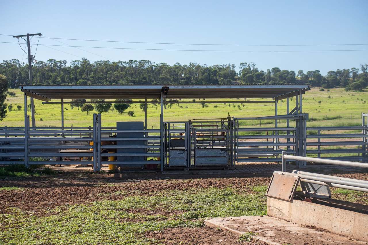 Blackwater Rolleston Road, Blackwater Auction by Farmbuy.com - image 24