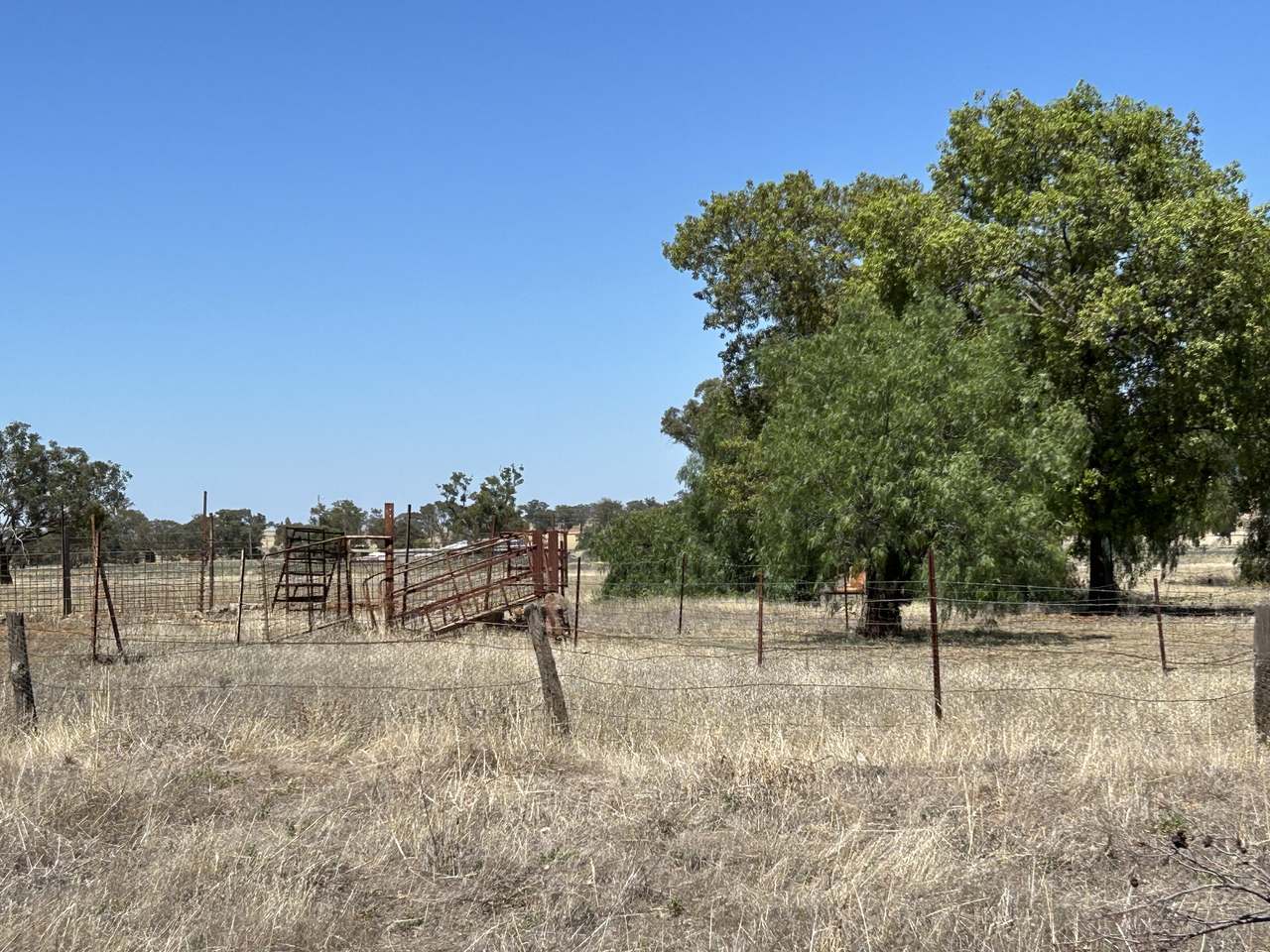 48 FURNERS LANE, TREWILGA For Sale by Farmbuy.com - image 3