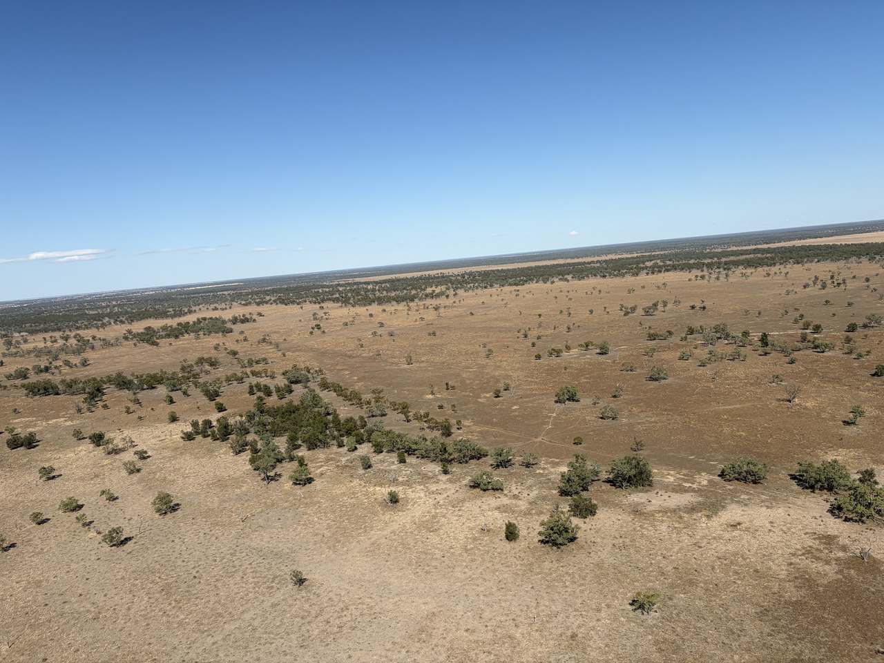 14762 Castlereah Highway, Walgett Auction by Farmbuy.com - image 7