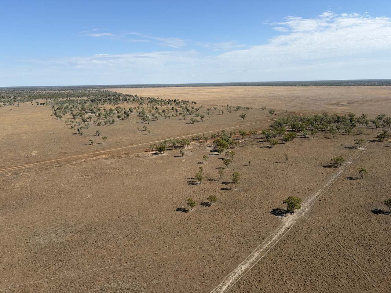 14762 Castlereah Highway, Walgett Auction by Farmbuy.com - image 1