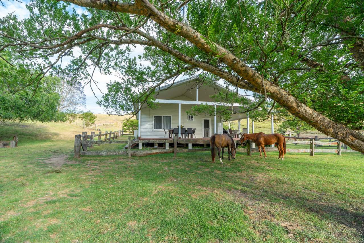 689 Manchester Road, Via Gloucester, Bindera For Sale by Farmbuy.com - image 6