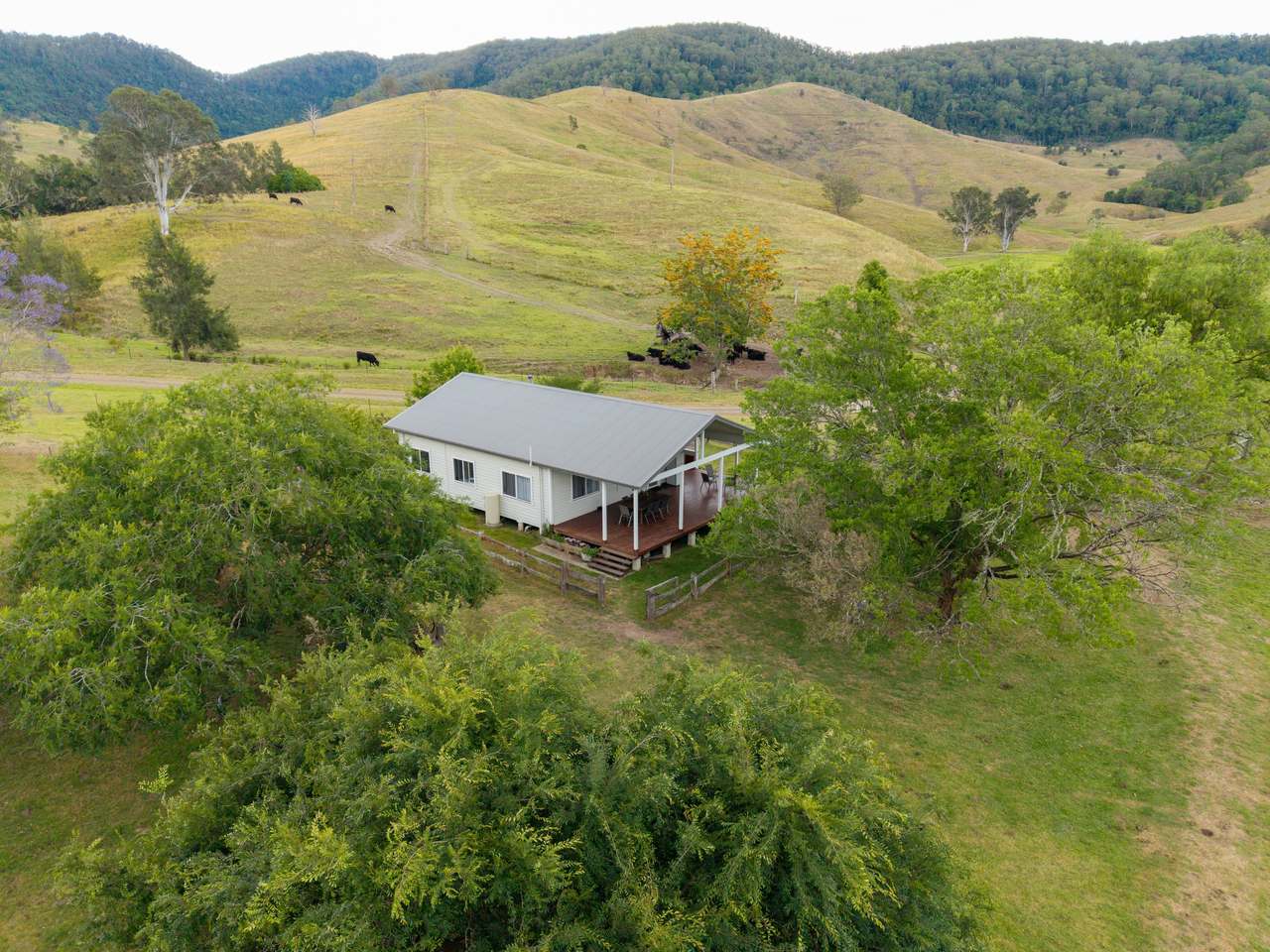 689 Manchester Road, Via Gloucester, Bindera For Sale by Farmbuy.com - image 5