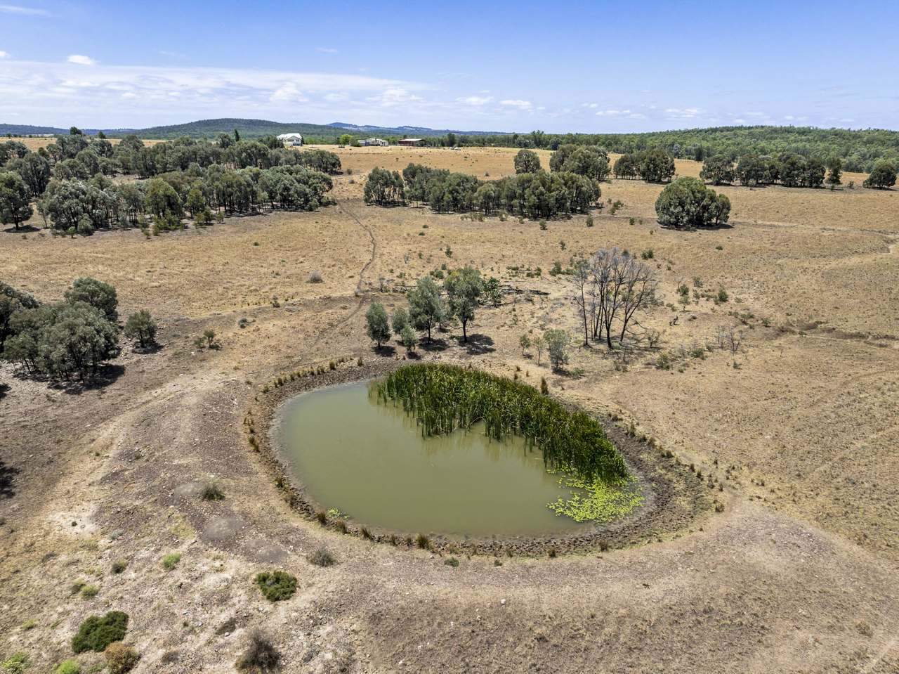 120 Mabbet Road, Millmerran Auction by Farmbuy.com - image 9