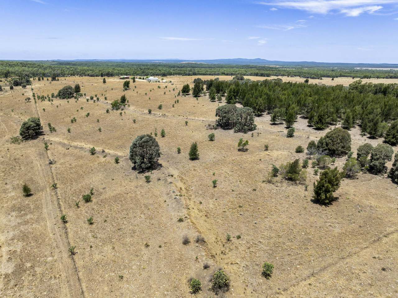 120 Mabbet Road, Millmerran Auction by Farmbuy.com - image 7