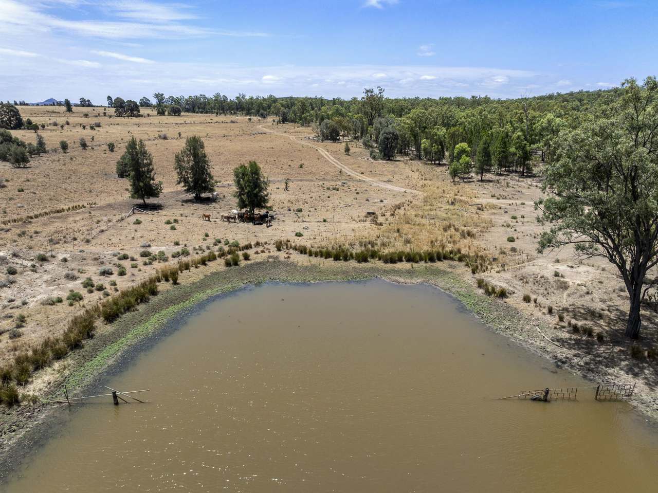 120 Mabbet Road, Millmerran Auction by Farmbuy.com - image 11