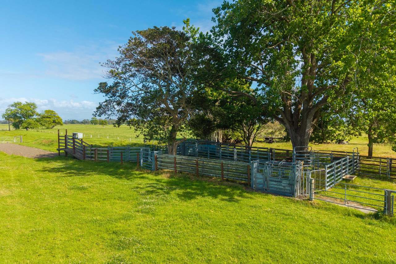 54 Back Creek Road, Kinchela For Sale by Farmbuy.com - image 4