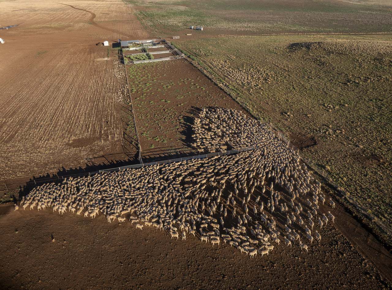 3788 The Snowy River Way, Springfield For Sale by Farmbuy.com - image 3