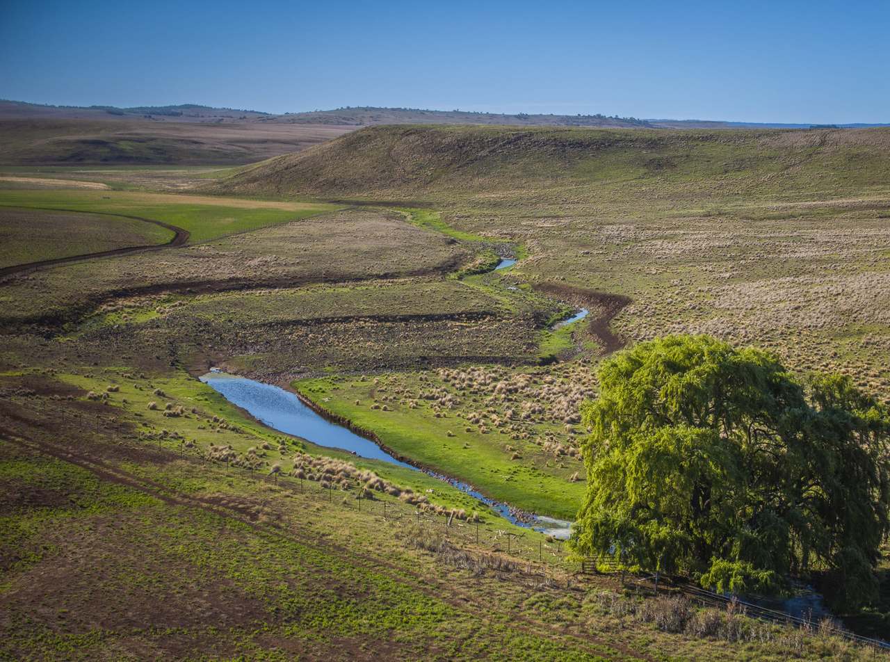 3788 The Snowy River Way, Springfield For Sale by Farmbuy.com - image 4