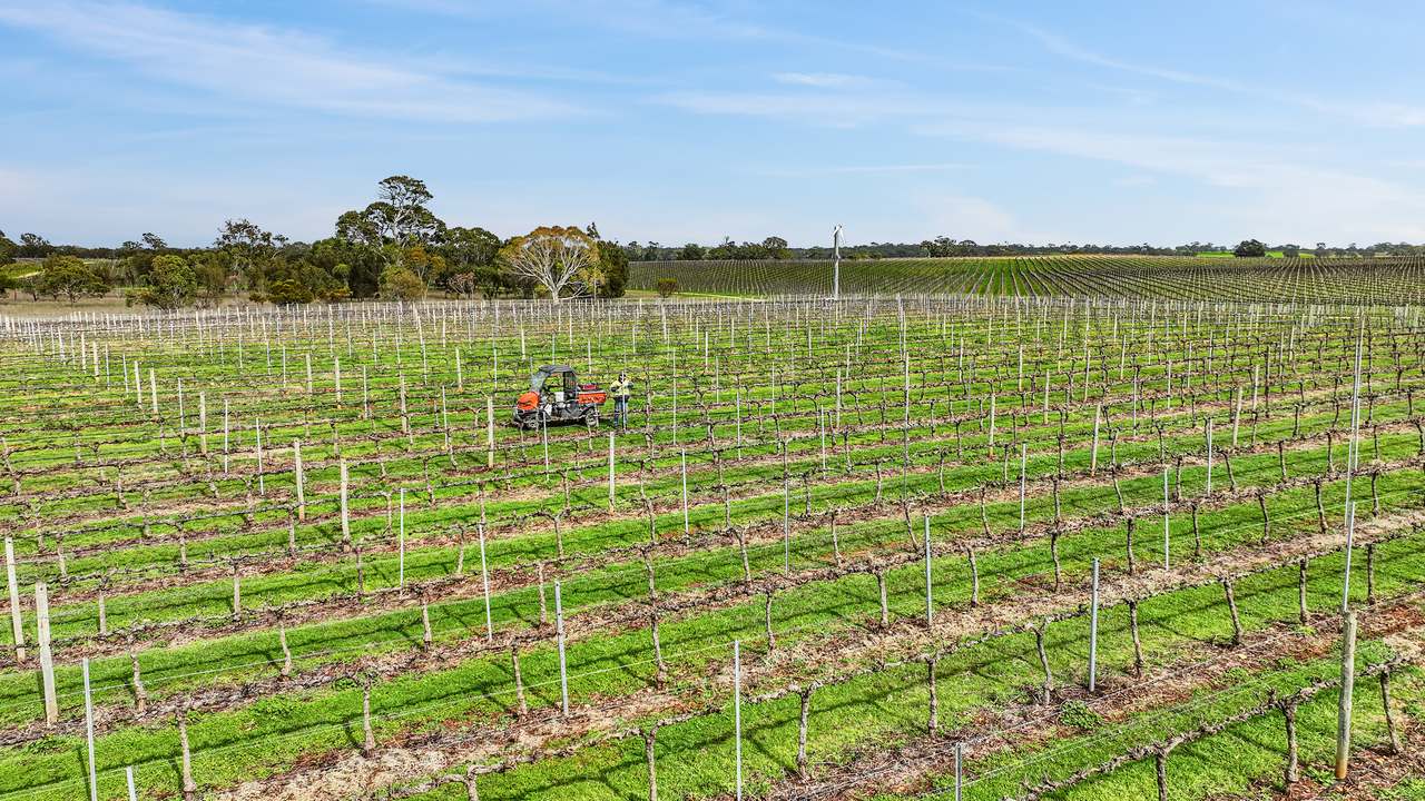 Koppamurra For Sale by Farmbuy.com - image 11