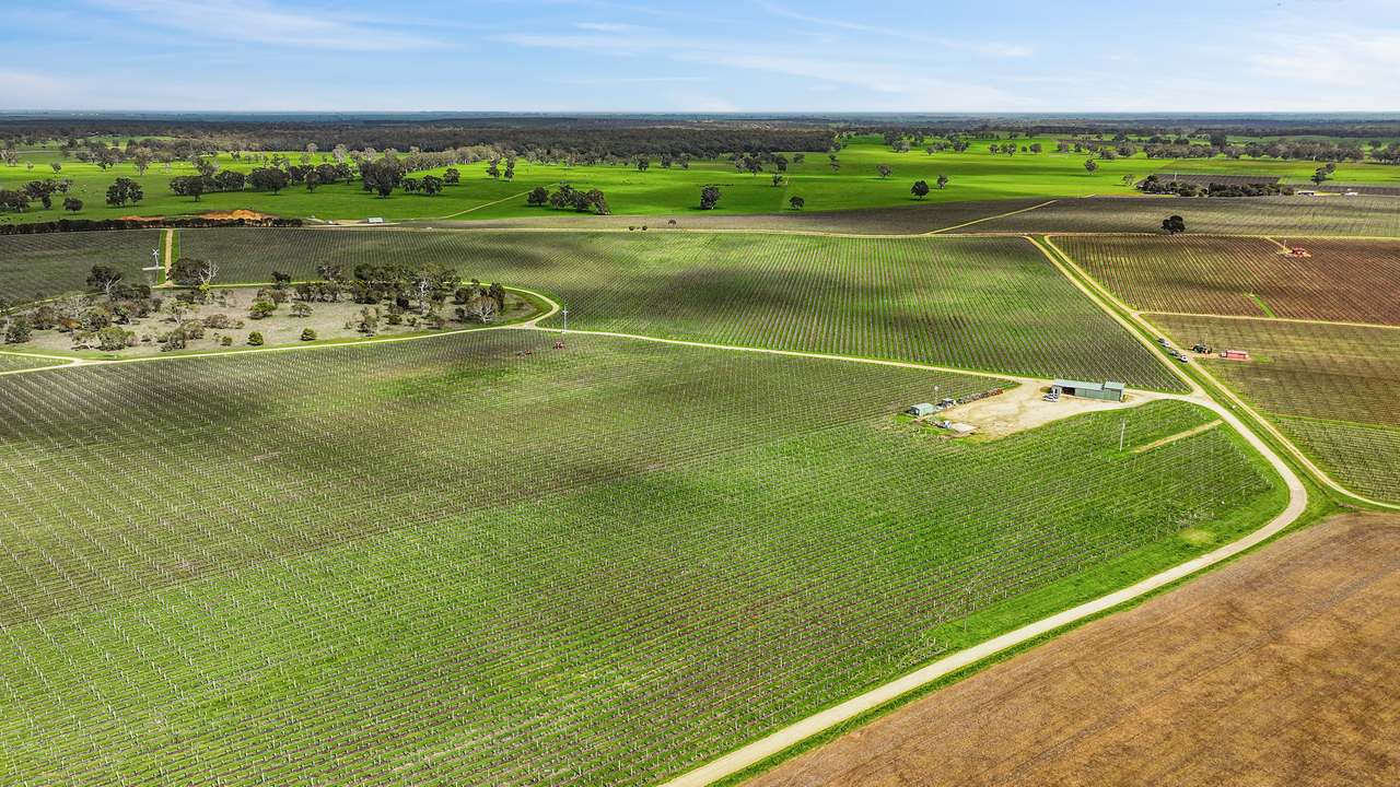 Koppamurra For Sale by Farmbuy.com - image 2