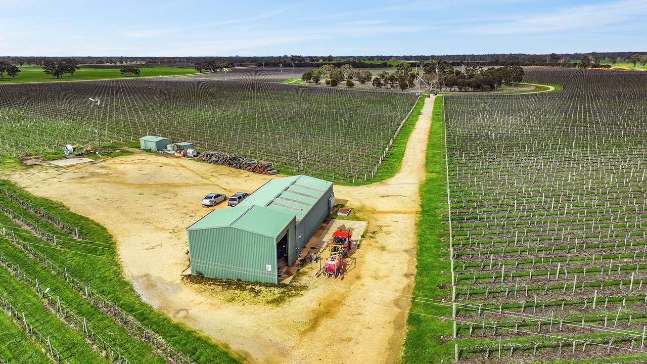 Koppamurra For Sale by Farmbuy.com - image 5