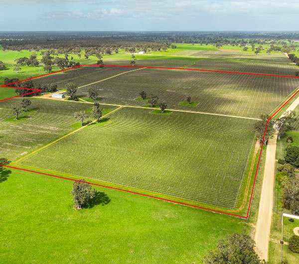 Koppamurra For Sale by Farmbuy.com - image 2