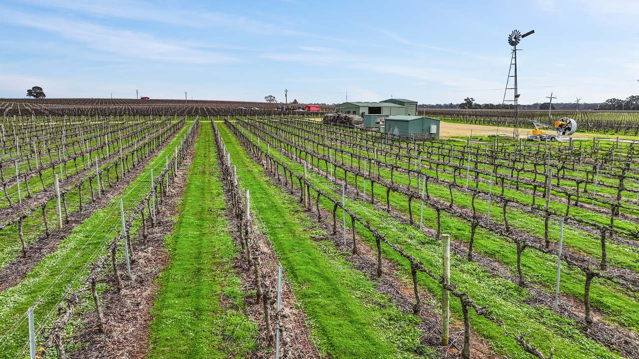 Koppamurra For Sale by Farmbuy.com - image 13