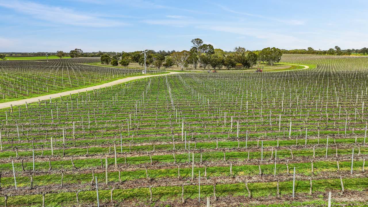 Koppamurra For Sale by Farmbuy.com - image 6