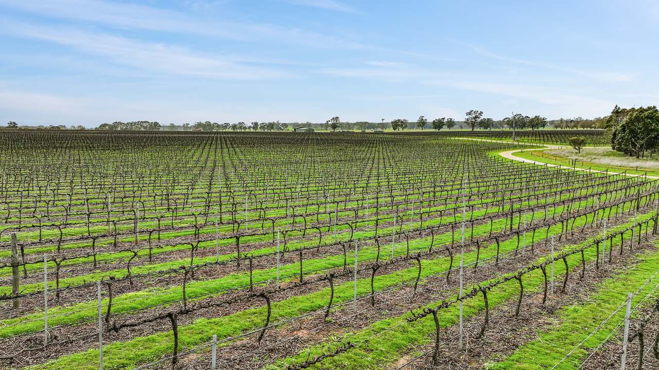 Koppamurra For Sale by Farmbuy.com - image 8