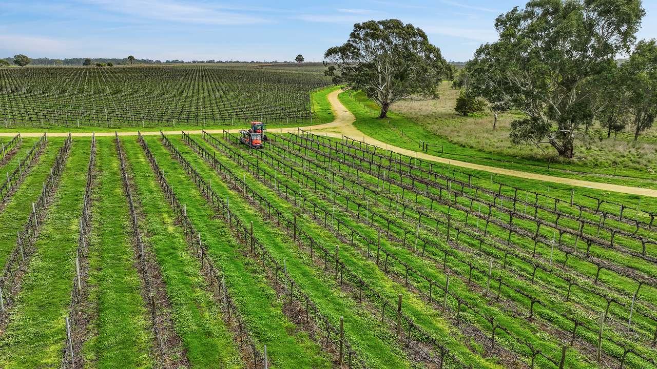 Koppamurra For Sale by Farmbuy.com - image 10