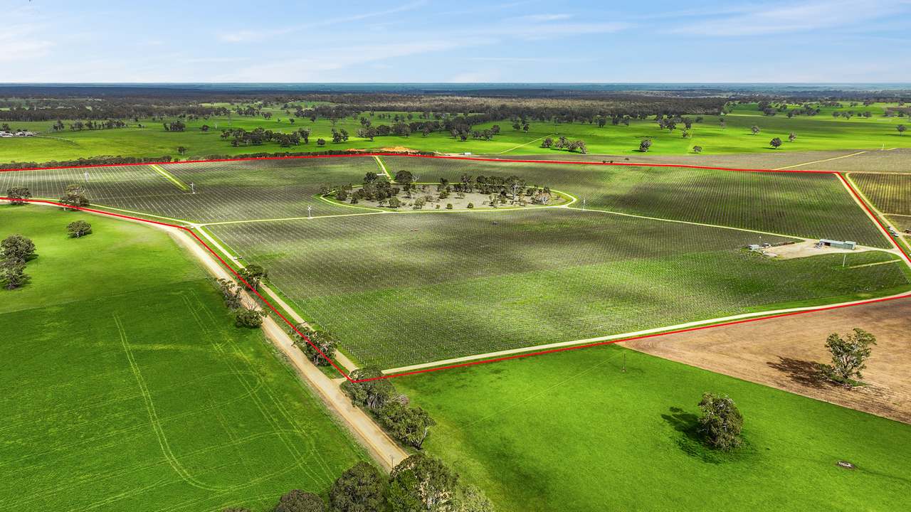 Koppamurra For Sale by Farmbuy.com - image 1