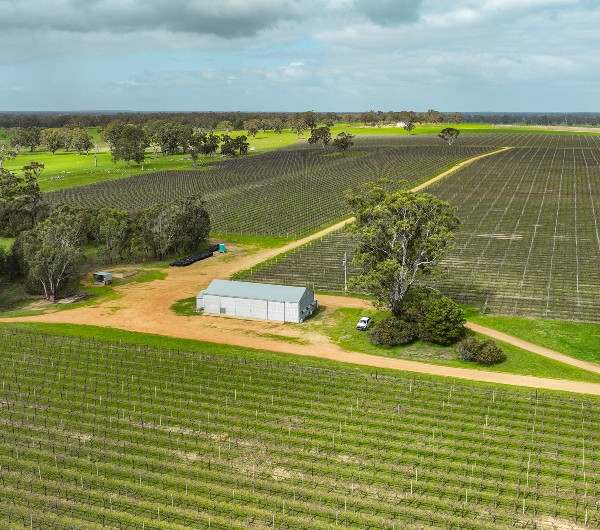 Koppamurra For Sale by Farmbuy.com - image 6