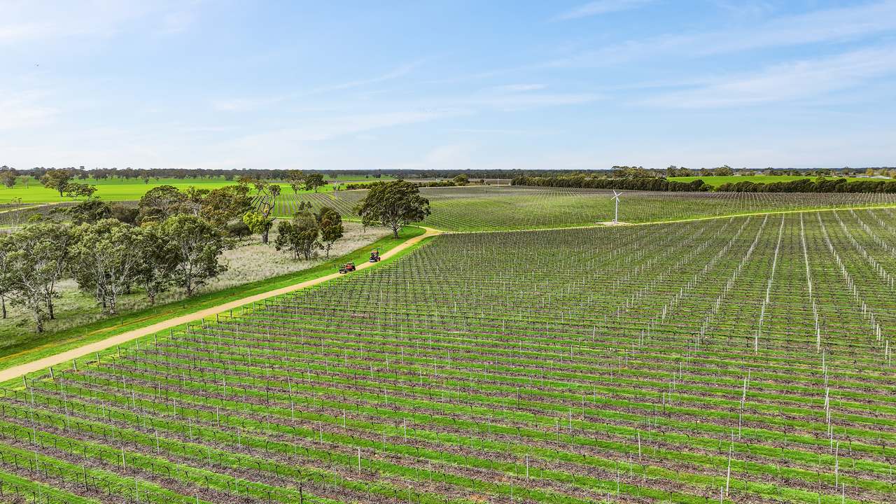 Koppamurra For Sale by Farmbuy.com - image 9