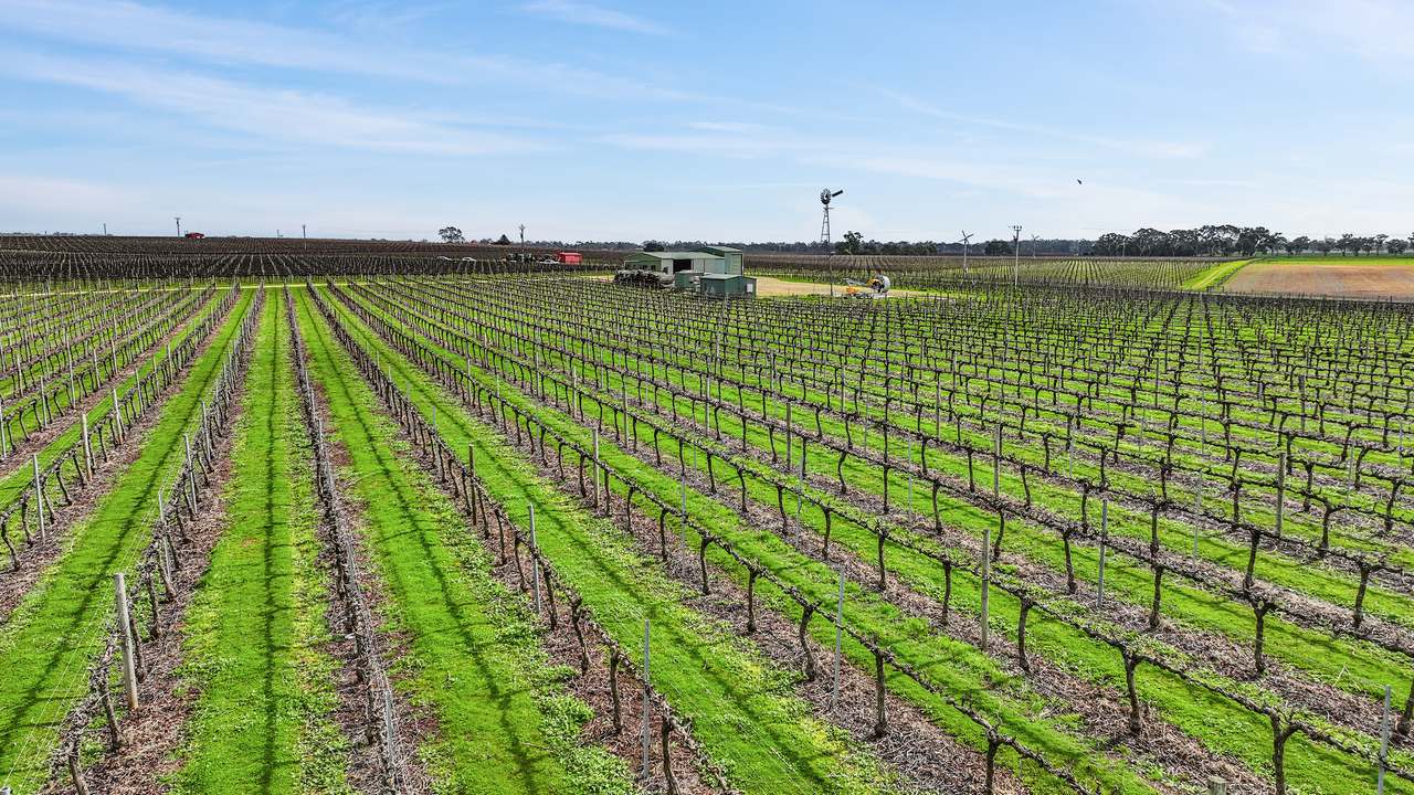 Koppamurra For Sale by Farmbuy.com - image 12