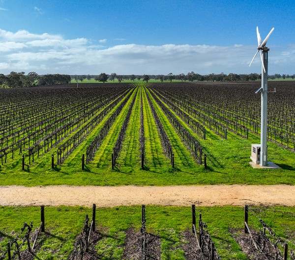 Koppamurra For Sale by Farmbuy.com - image 10