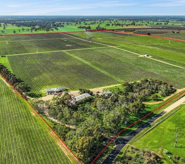 Koppamurra For Sale by Farmbuy.com - image 2