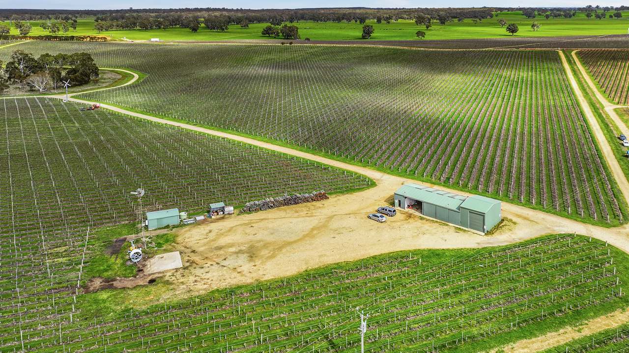 Koppamurra For Sale by Farmbuy.com - image 3